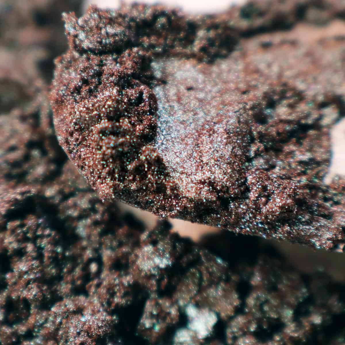 Beaming Brown - Image 6